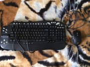 Продам мышу с клавиатурой в хорошем состоянии.